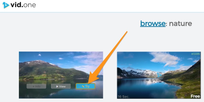 Step_4_-_Hover_over_a_video_and_click_try.jpg